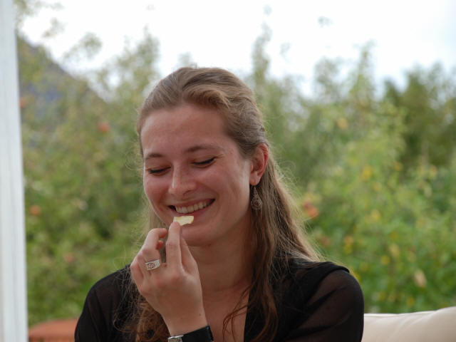 manglende billede