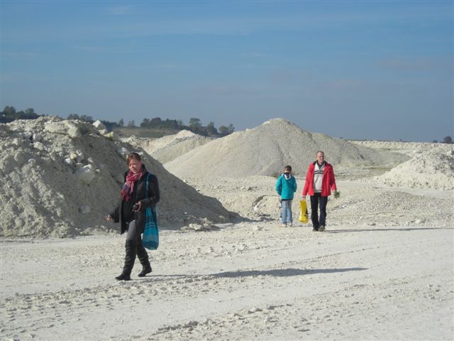 Så skal der findes fossiler.. manglende billede